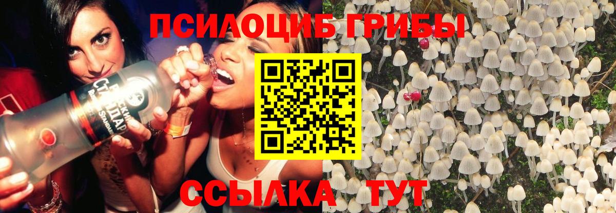 Галлюциногенные грибы MAGIC MUSHROOMS Котовск